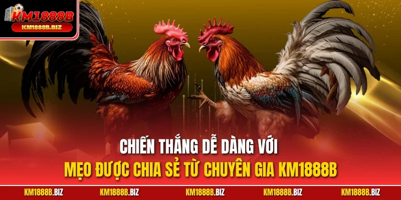 Chiến thắng dễ dàng với mẹo được chia sẻ từ chuyên gia KM1888B