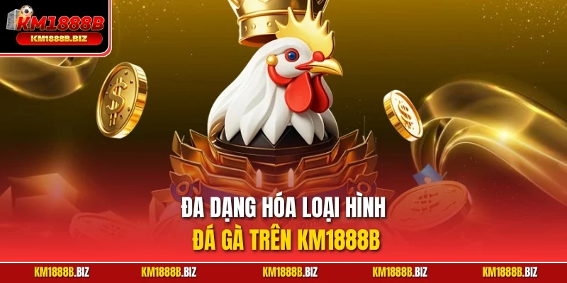 Đa dạng hóa loại hình đá gà trên KM1888B