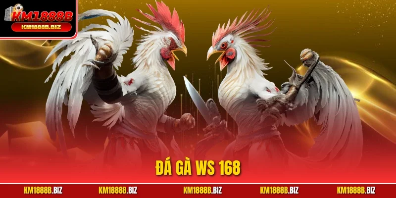 Đá Gà Ws 168 | Sảnh Chọi Kê Trực Tuyến Uy Tín Tại KM1888B