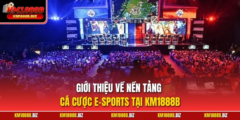 Giới thiệu về nền tảng cá cược E-sport tại KM1888B