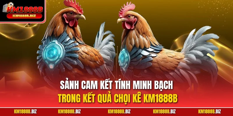Sảnh cam kết tính minh bạch trong kết quả chọi kê KM1888B
