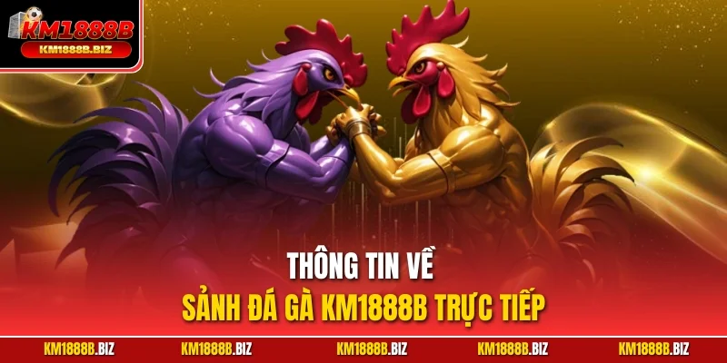Thông tin về sảnh đá gà KM1888B trực tiếp